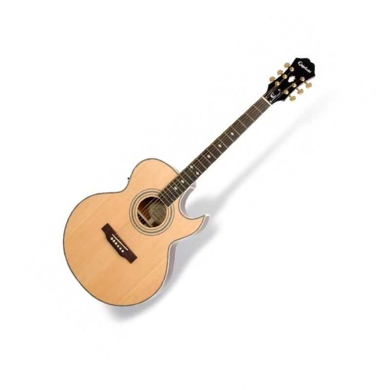 Epiphone pr5evs discount