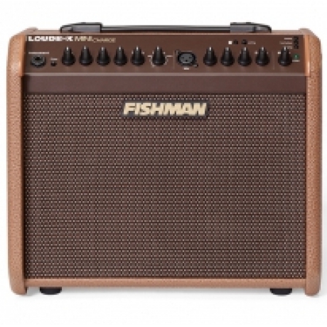Fishman on sale mini charge