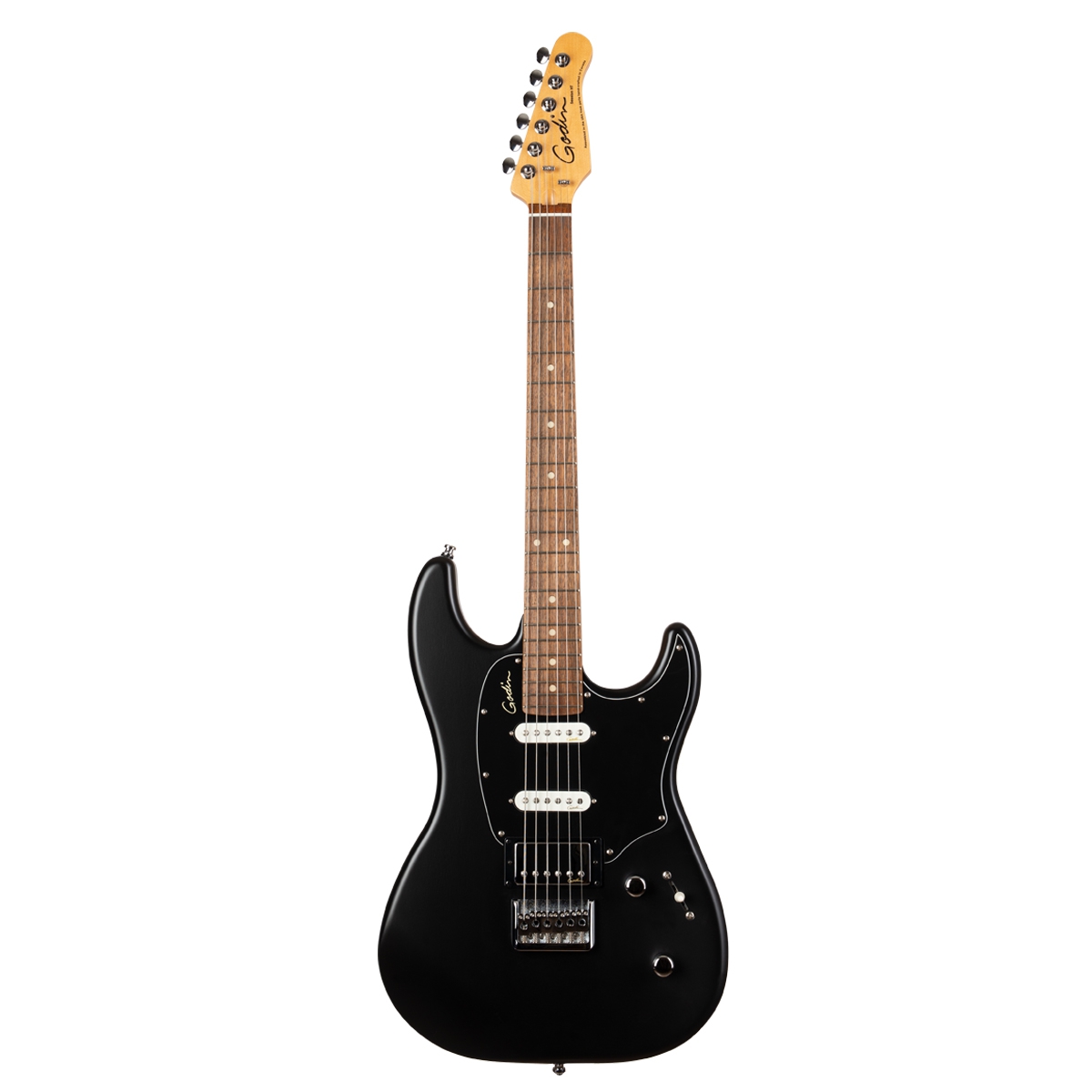 Godin black shop