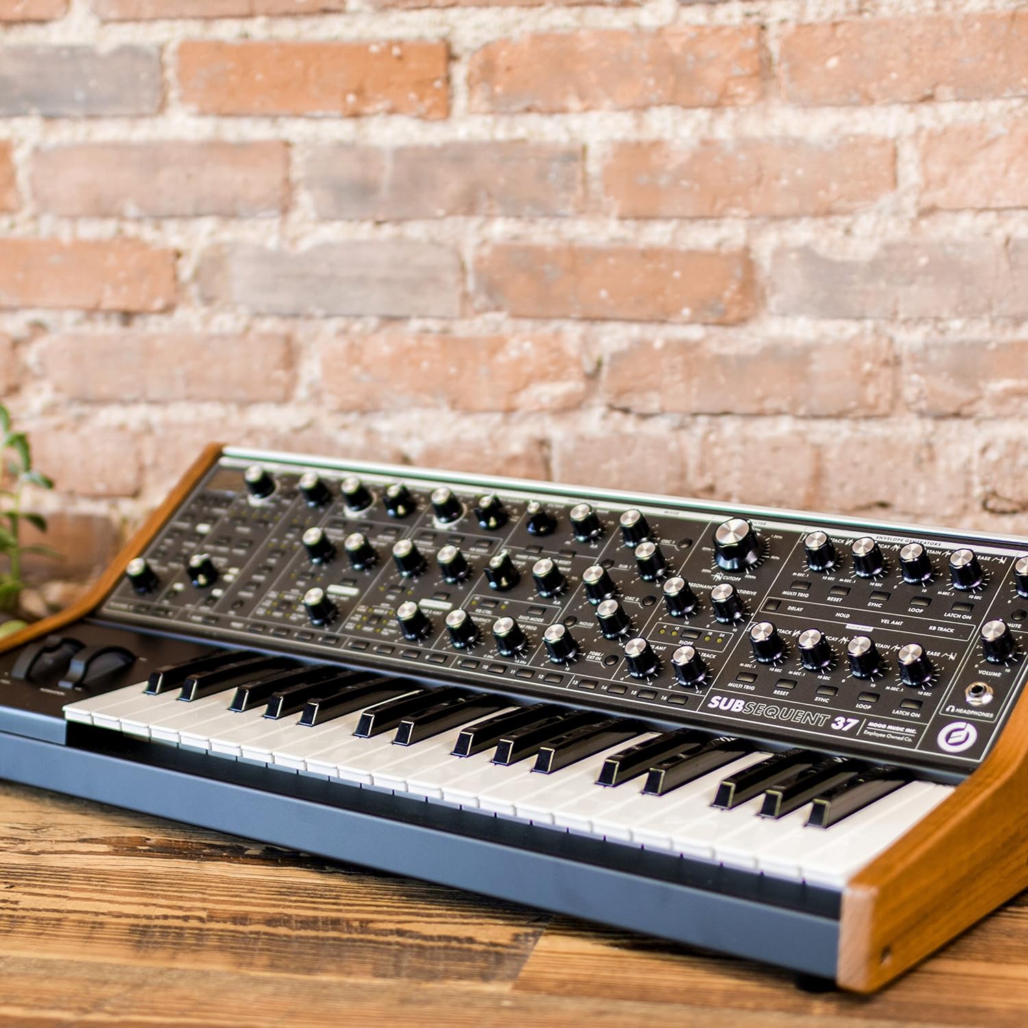 Moog SubSequent 37 Analog Synthesizer