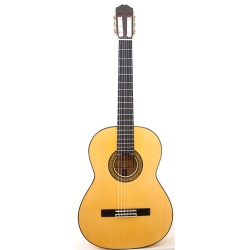 Raimundo Gitarlar doremusic
