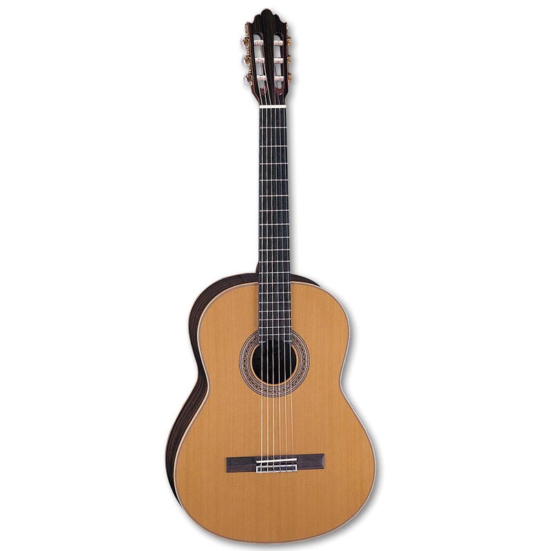 Gitar samick deals