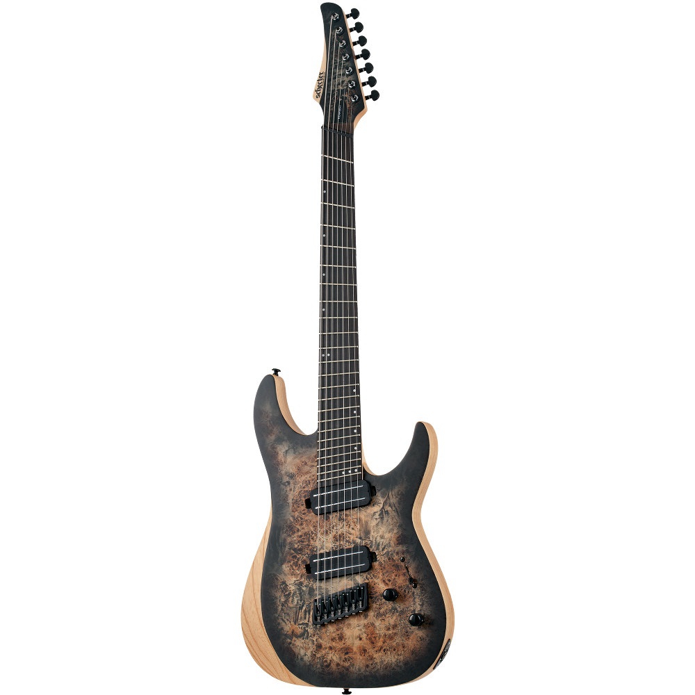 Schecter multiscale shop