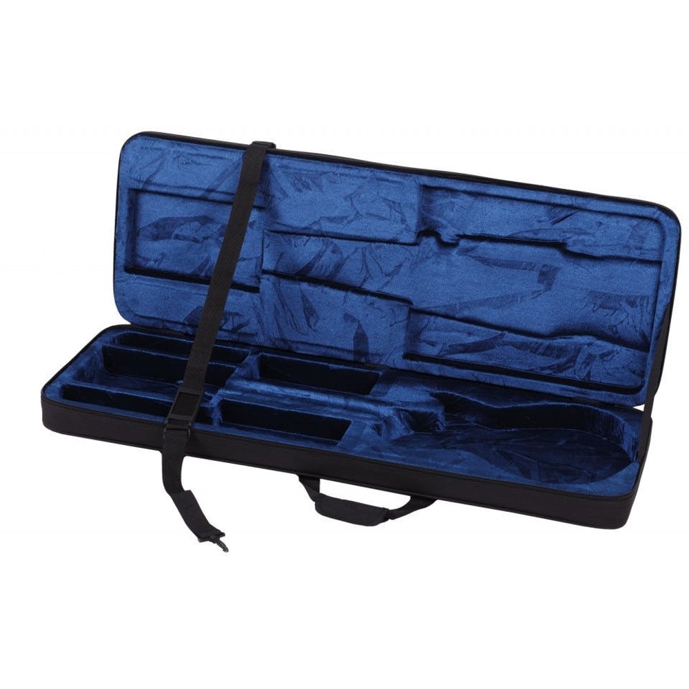 Schecter case shop