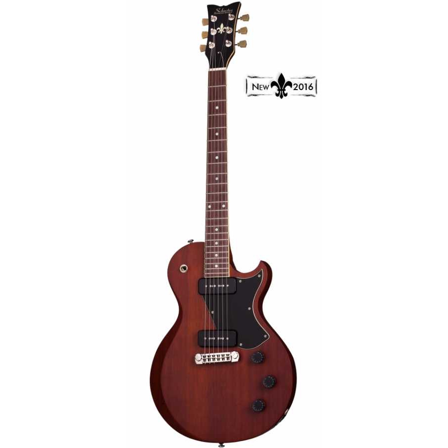 Schecter solo store ii special