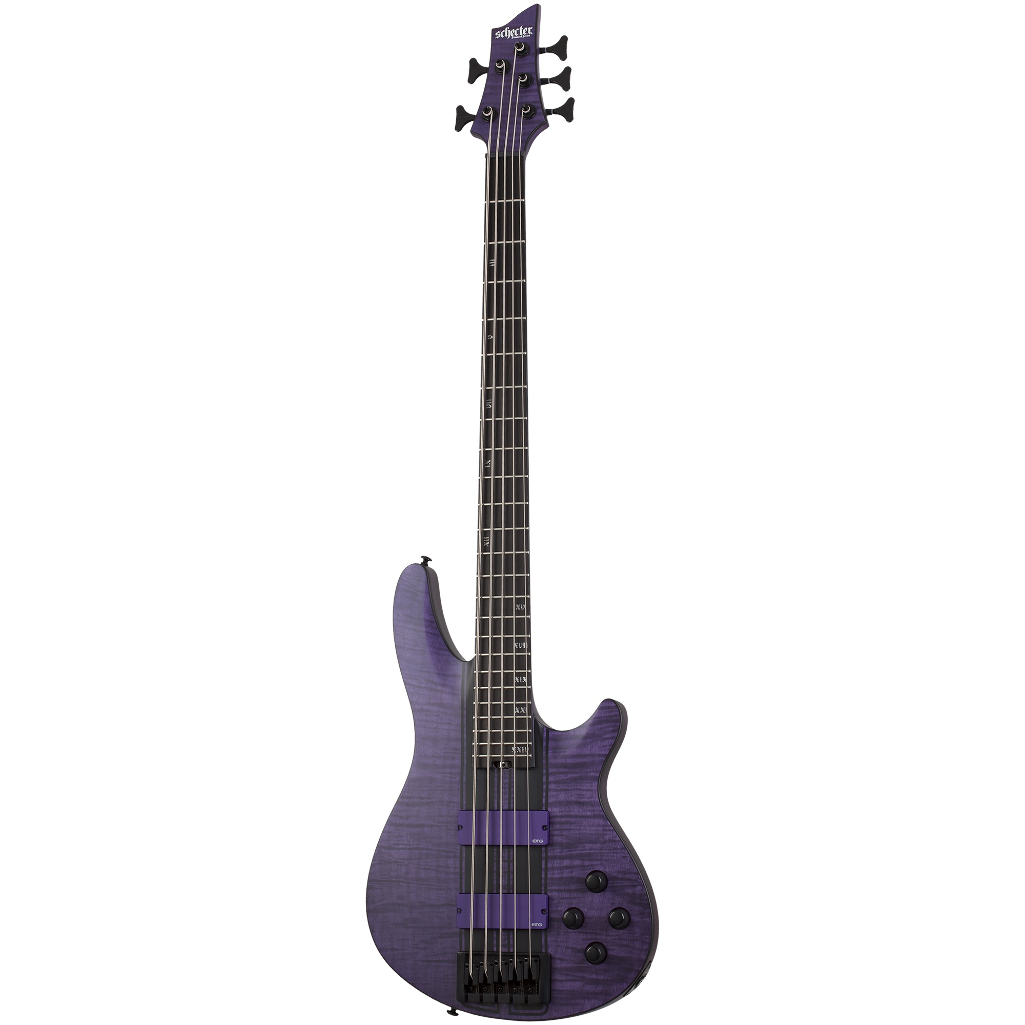 Bass schecter sales 5 string