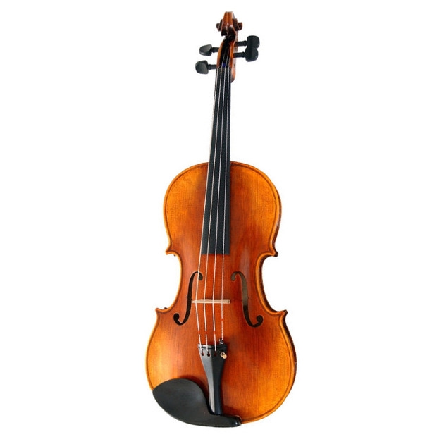 Stentor elysia on sale