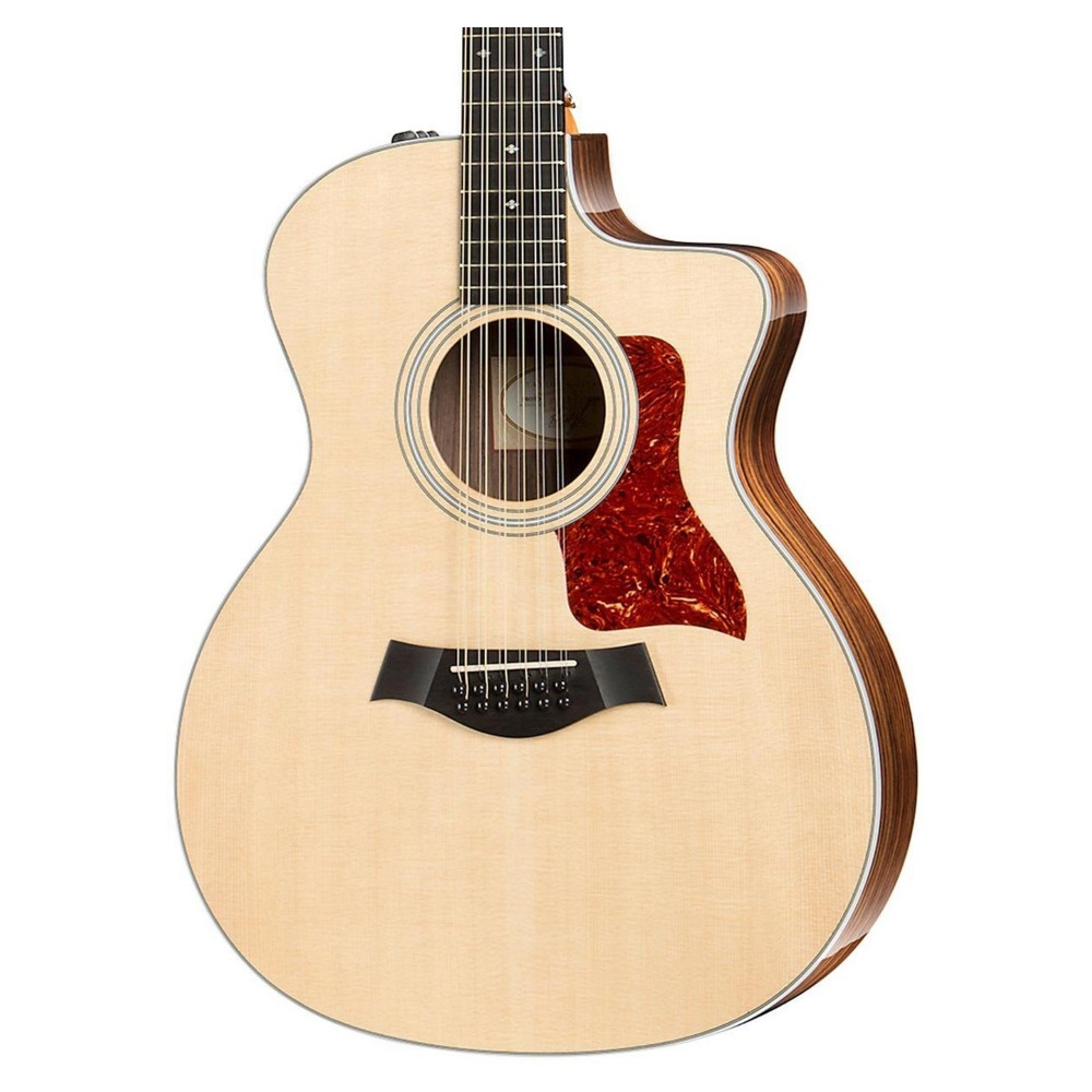 Taylor shop 254ce dlx