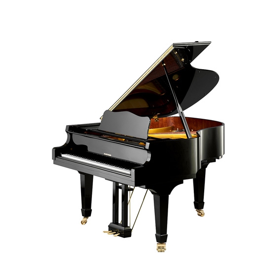 W.Hoffmann Grand Vision V 158 Akutistik Kuyruklu Piyano (Siyah)