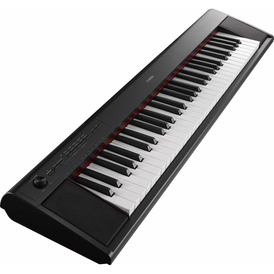 Yamaha on sale piaggero np12b