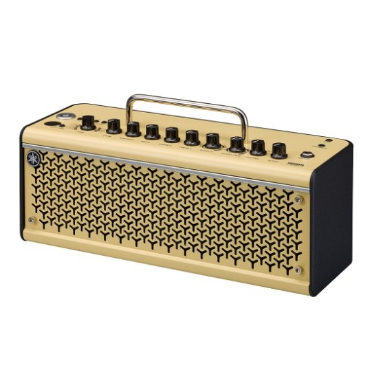 Yamaha on sale amp thr10ii