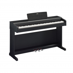 Yamaha YDP145B Dijital Piyano Siyah doremusic